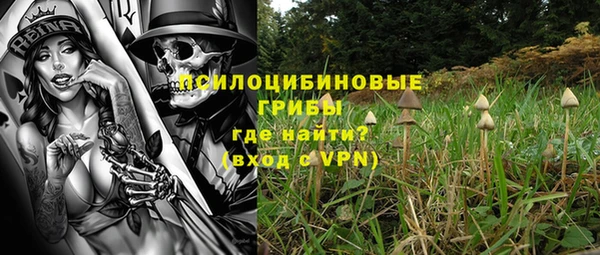 а пвп мука Абаза
